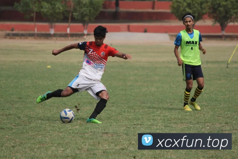 九游官网注册账号入口平台生态图